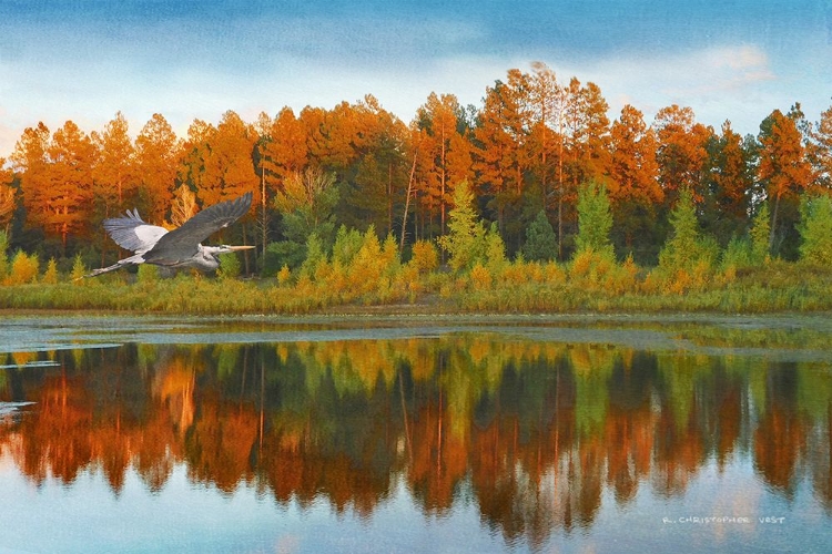 Picture of SUMMIT LAKE TREE REFLECTIONS