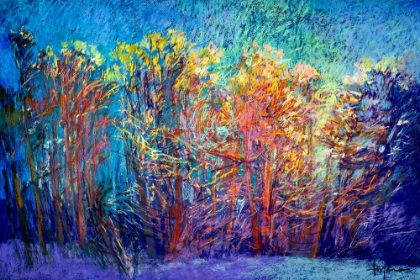 Picture of SPARKLING WOODS