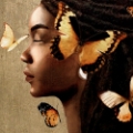 Picture of GOLDEN BUTTERFLY I
