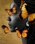 Picture of MONOCHROME GOLDEN BUTTERFLY I