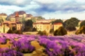 Picture of PROVENCES LAVENDER FIELDS I