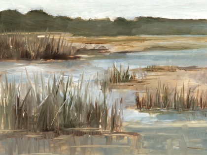 Picture of WETLAND GRASSES I
