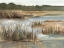 Picture of WETLAND GRASSES I