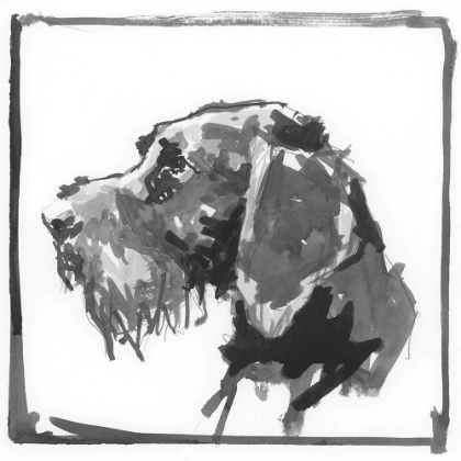 Picture of GERMAN WIRE-HAIRED POINTER