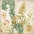 Picture of WOODLAND FERNS GESTURE II