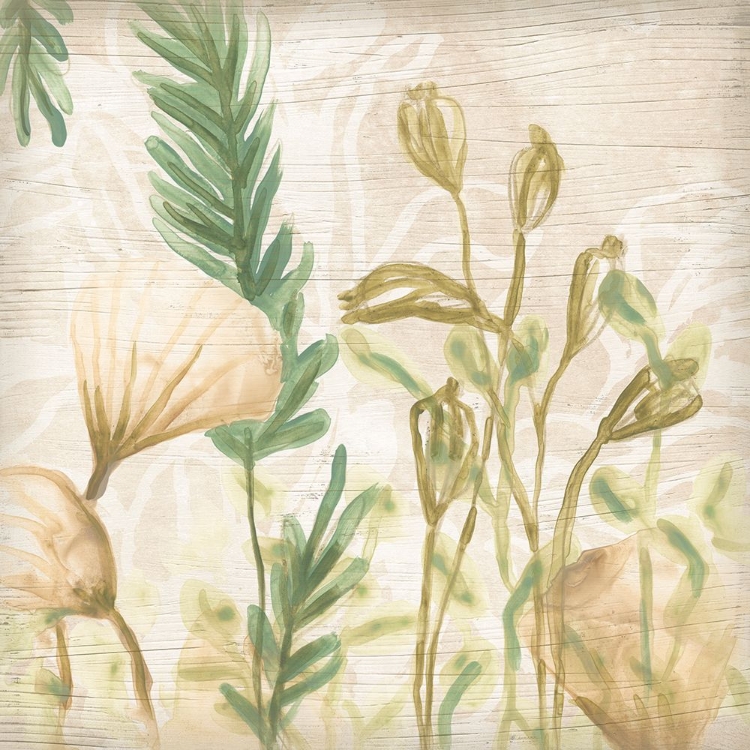 Picture of WOODLAND FERNS GESTURE III