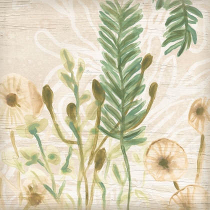 Picture of WOODLAND FERNS GESTURE IV