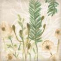 Picture of WOODLAND FERNS GESTURE IV