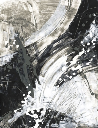 Picture of MONOCHROME ARTIFACT II