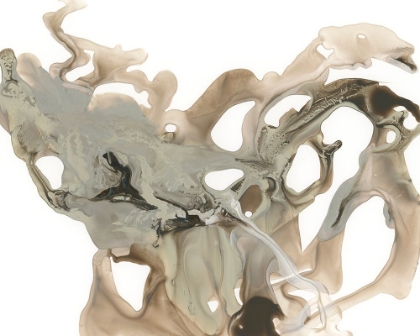 Picture of MARBLED MIST I