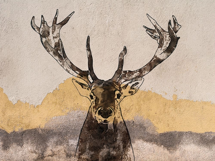 Picture of WHITE TAILED DEER