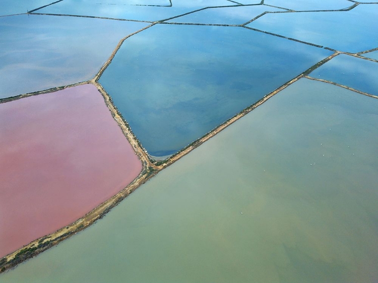 Picture of NATURE FROM ABOVE I