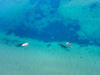 Picture of NATURE FROM ABOVE II