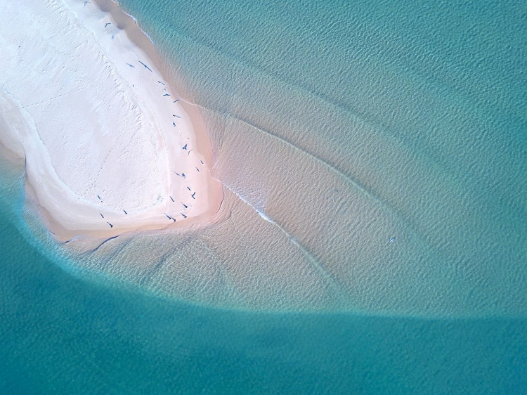 Picture of NATURE FROM ABOVE IV