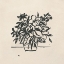 Picture of INKBLOT BOUQUET I