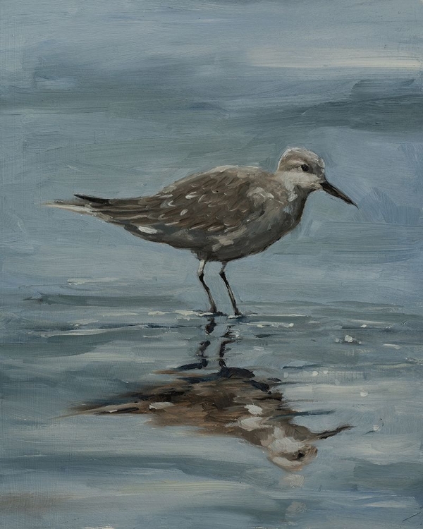 Picture of STANDING IN WATER VI