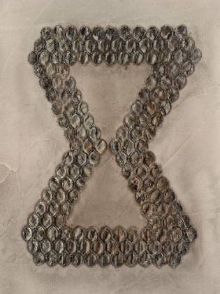 Picture of OUROBOROS I