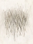 Picture of AUDIBLE LINES I