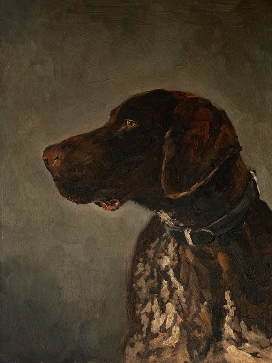 Picture of HUNTING DOG