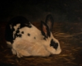 Picture of RESTING BUNNY RABBIT V