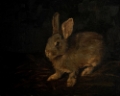 Picture of RESTING BUNNY RABBIT VI