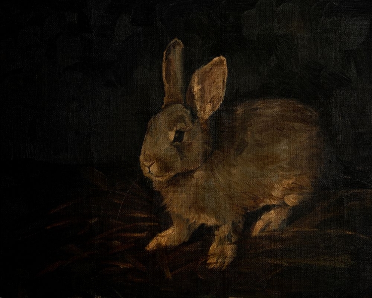 Picture of RESTING BUNNY RABBIT VI