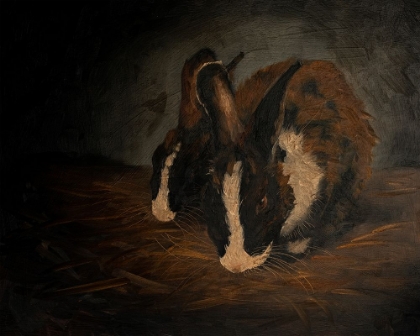 Picture of RESTING BUNNY RABBIT VII