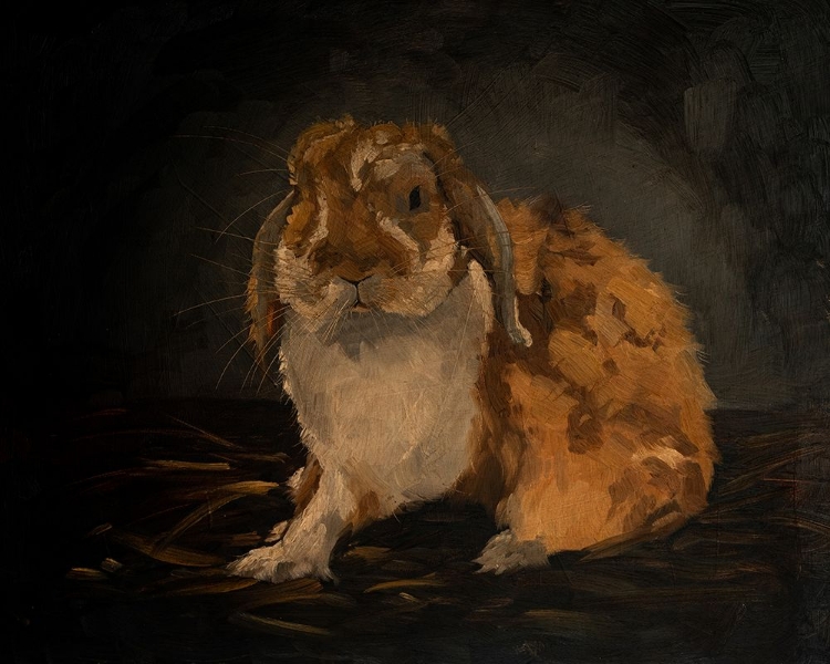 Picture of RESTING BUNNY RABBIT VIII