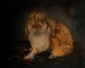 Picture of RESTING BUNNY RABBIT VIII