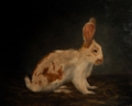Picture of RESTING BUNNY RABBIT IX