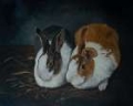 Picture of RESTING BUNNY RABBIT X