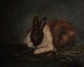 Picture of RESTING BUNNY RABBIT XI