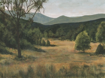 Picture of PIEDMONT MEADOW I