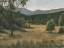 Picture of PIEDMONT MEADOW I
