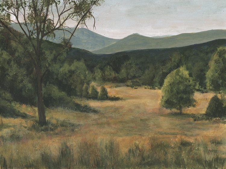 Picture of PIEDMONT MEADOW I