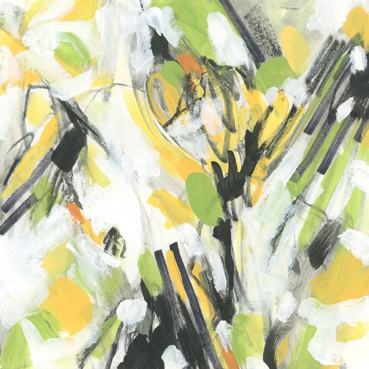 Picture of CITRUS SNOW I