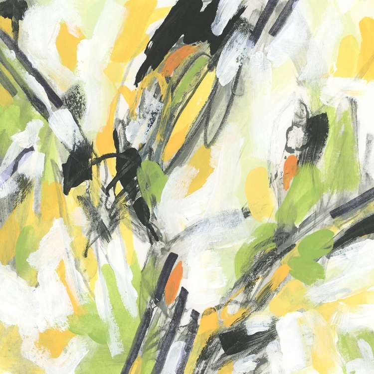 Picture of CITRUS SNOW II