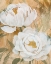 Picture of VEIL OF THE PETALS I