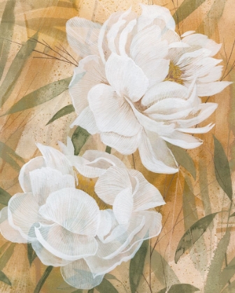 Picture of VEIL OF THE PETALS II