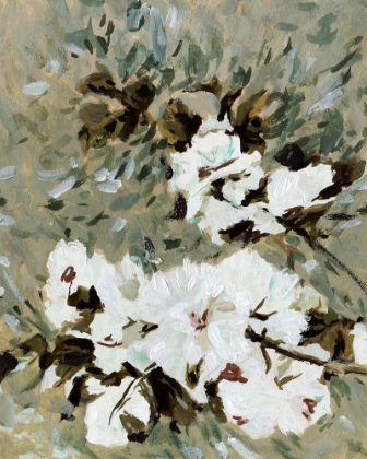 Picture of SIMPLY SHINE II