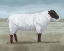 Picture of SHEPHERDS SHEEP I