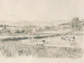 Picture of VINTAGE FARM FIELD II