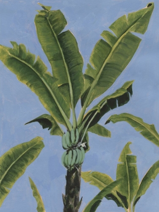 Picture of BANANA LEAVES ON BLUE I