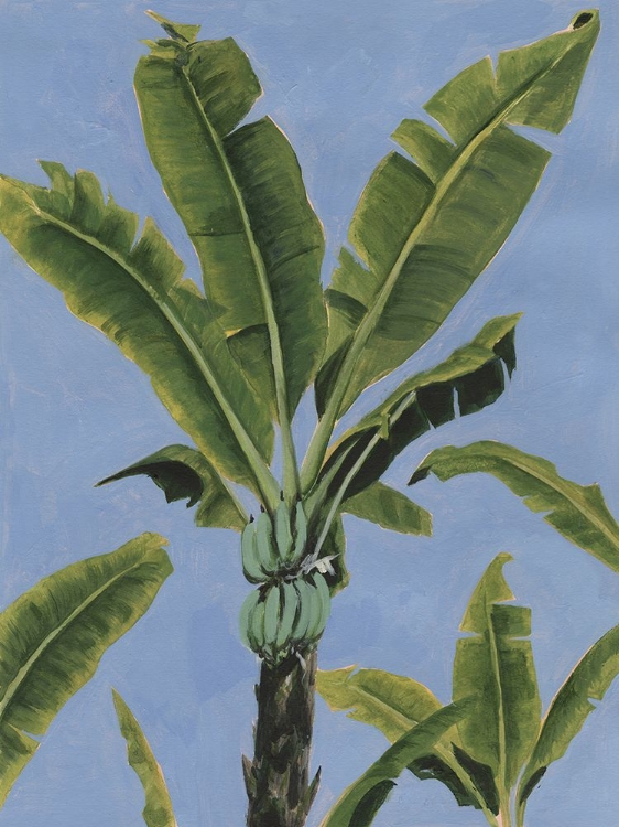 Picture of BANANA LEAVES ON BLUE I