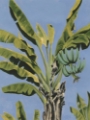 Picture of BANANA LEAVES ON BLUE II