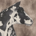 Picture of DAIRY COW PORTRAIT I