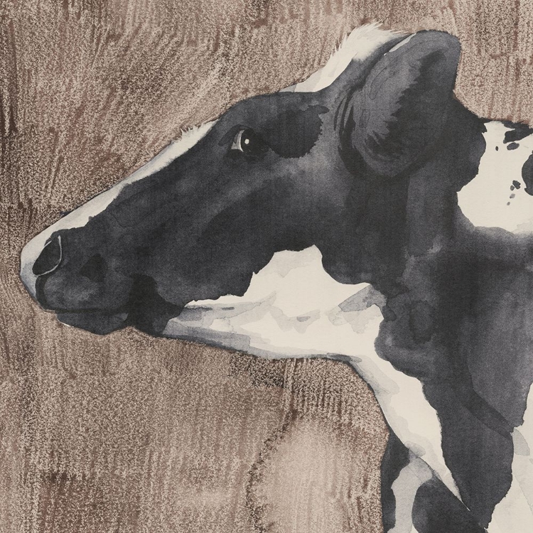 Picture of DAIRY COW PORTRAIT II