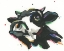 Picture of BIG MOO-D I