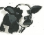Picture of BIG MOO-D VII