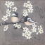 Picture of MY LITTLE CHICKADEE I